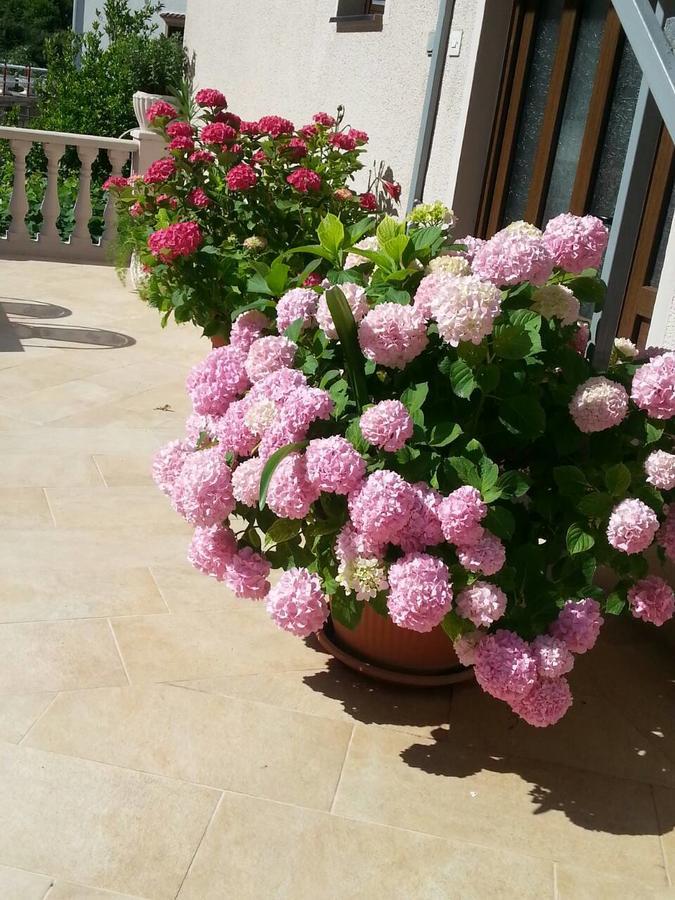 Azure Adriatic Apartment Kotor Ngoại thất bức ảnh