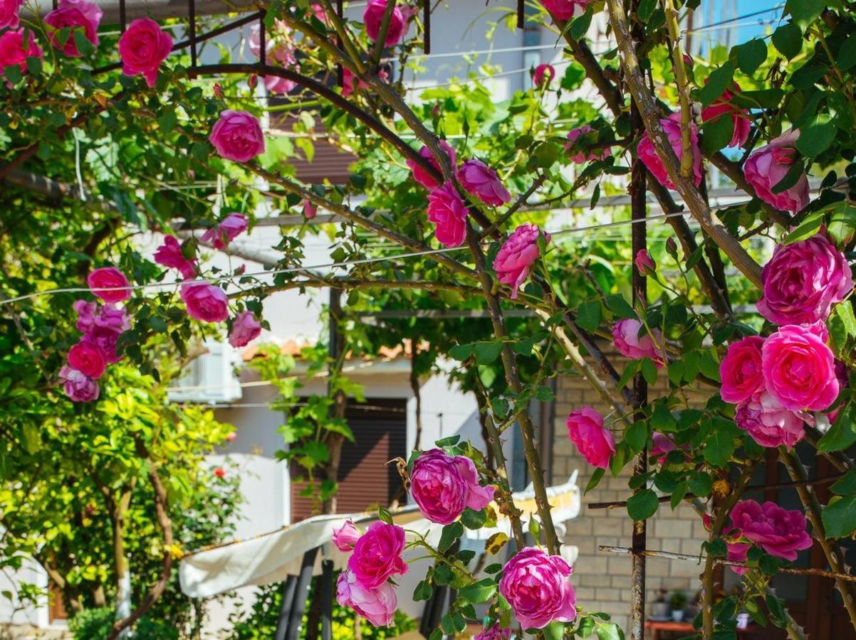 Azure Adriatic Apartment Kotor Ngoại thất bức ảnh