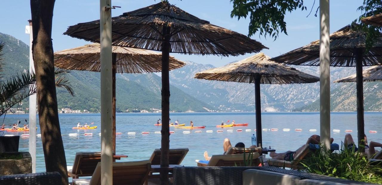 Azure Adriatic Apartment Kotor Ngoại thất bức ảnh